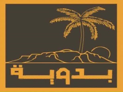 Badawia TV