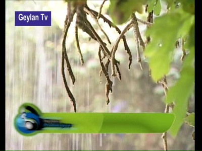 Geylan TV