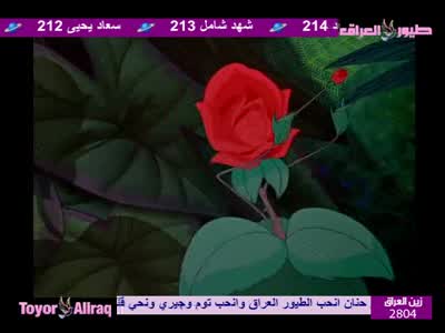 Toyor Aliraq
